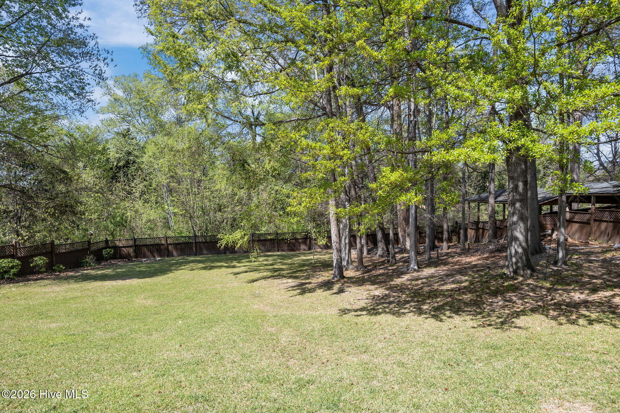 1104 West Rock Spring Road Greenville, NC 27858 - Photo 6 of 56 Across Private Back Yard - Slopes Down to Back of Property