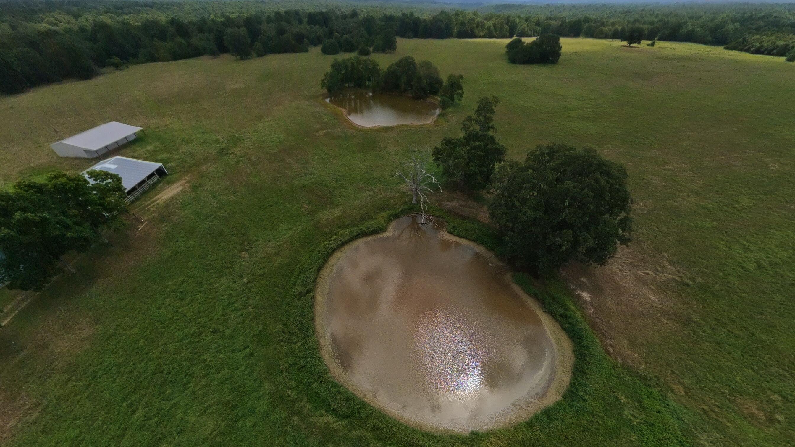 189 East Wirth Road Mammoth Spring, AR 72554 - Photo 25 of 125 160 acre ranch property032