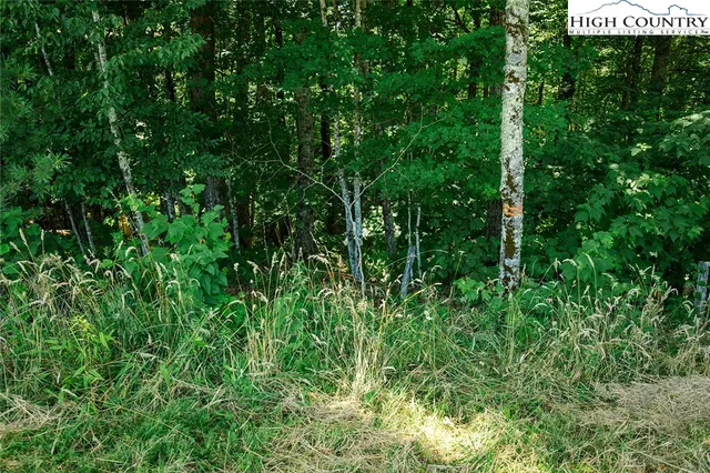 $799,900 | Rs7 Skywest Parkway, Elk Park, NC 28622