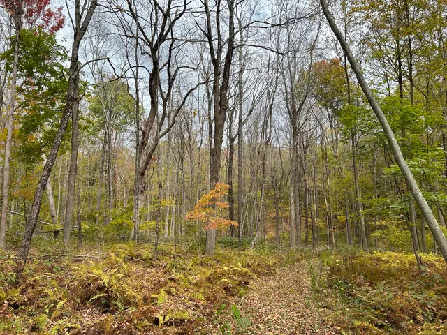 $249,000 | 120 Westwoods Road 1, Unit LOT 5, Sharon, CT 06069