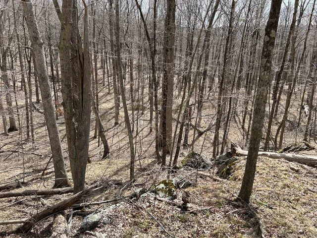 $249,000 | 120 Westwoods Road 1, Unit LOT 5, Sharon, CT 06069