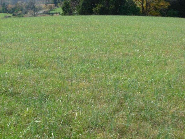 0 Ralph Park East Richmond, KY 40475 - Photo 28 of 37 Photo 28