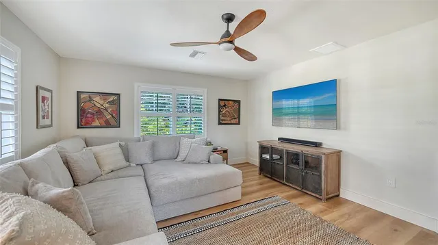 a view of a pathway with plants and large trees