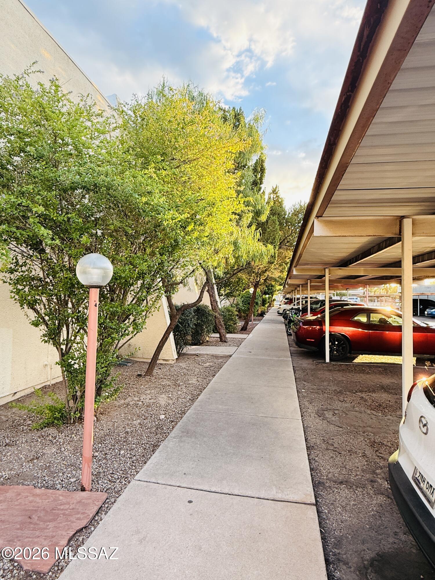 1600 North Wilmot Road, Unit 236 Tucson, AZ 85712 - Photo 25 of 31