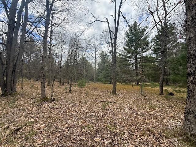 687 North Frank Smith Road Luther, MI 49656 - Photo 31 of 42 IMG_5982