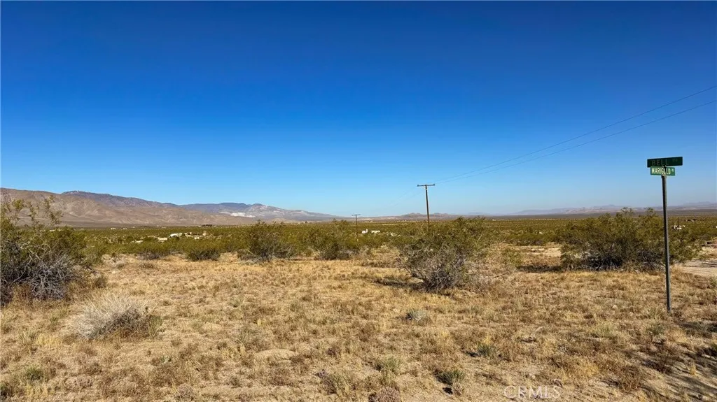 702 Bell Johnson Valley Johnson Valley, CA 92285 - Photo 6 of 12