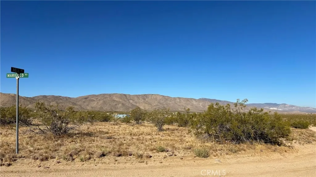 702 Bell Johnson Valley Johnson Valley, CA 92285 - Photo 7 of 12 Red boundary lines on pictures are an estimate and for marketing purposes only. Buyer to verify all aspects of this property including, but not limited to utilities, assessments, boundaries, usage, access, and zoning to satisfy themselves.