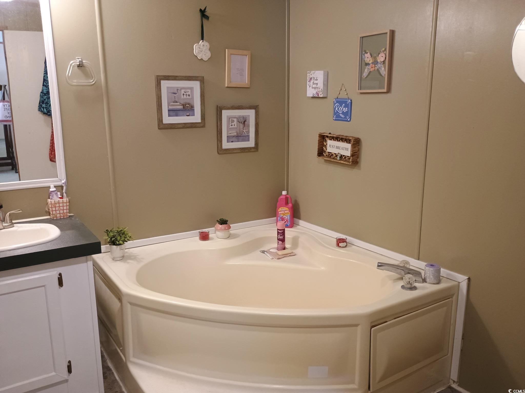 1049 Colonial Lane Conway, SC 29526 - Photo 13 of 27 Bathroom featuring vanity and a garden tub