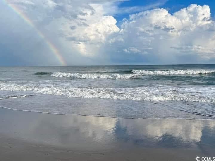 1049 Colonial Lane Conway, SC 29526 - Photo 27 of 27 Water view