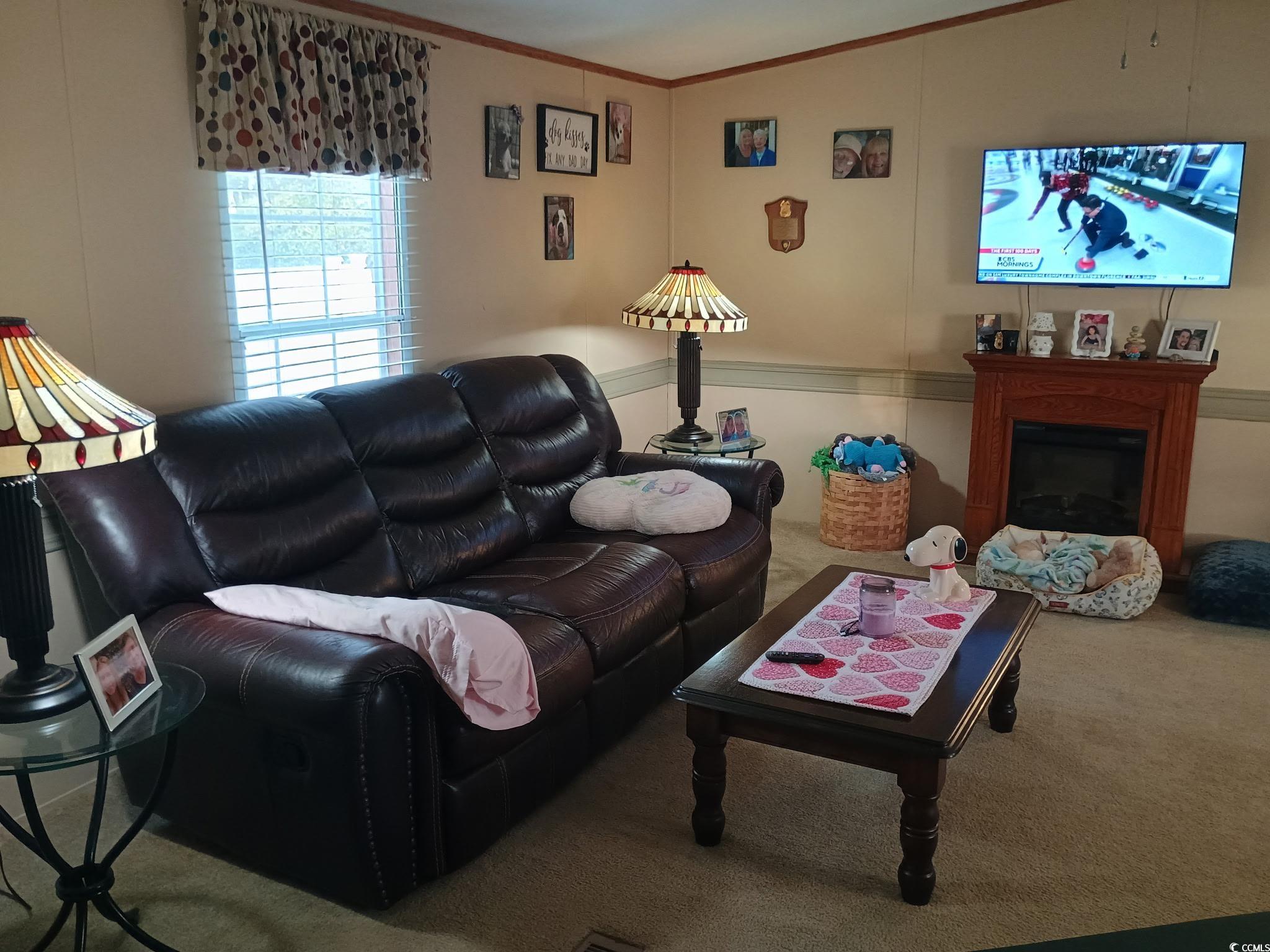 1049 Colonial Lane Conway, SC 29526 - Photo 7 of 27 Living room with carpet and crown molding