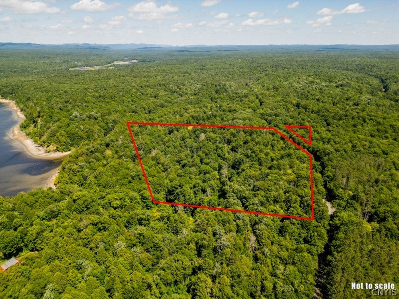 0 Brady Beach Road Cold Brook, NY 13324 - Photo 6 of 8 Gallery Image 6