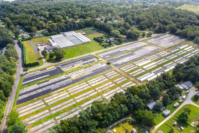 a black and white photo of a book