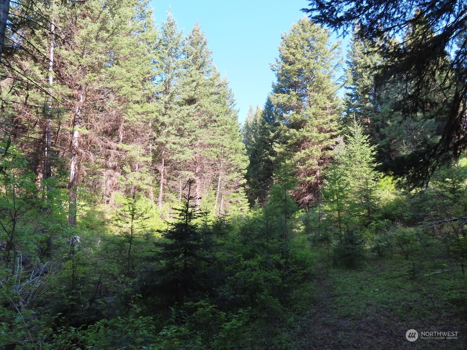 383 Pontiac Ridge Road Oroville, WA 98844 - Photo 12 of 32 a view of a large building with lots of trees