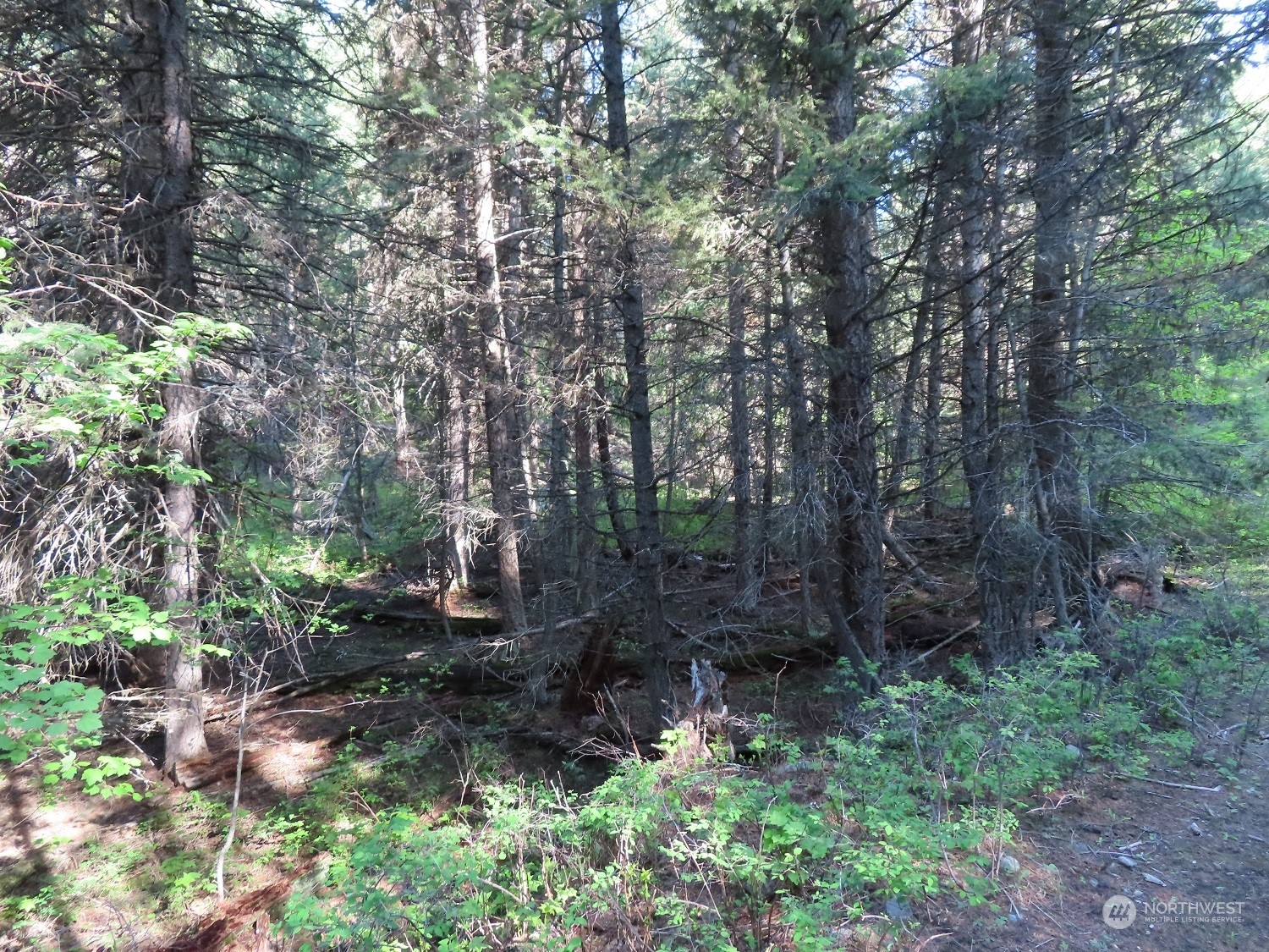 383 Pontiac Ridge Road Oroville, WA 98844 - Photo 21 of 32 a view of outdoor space and green space