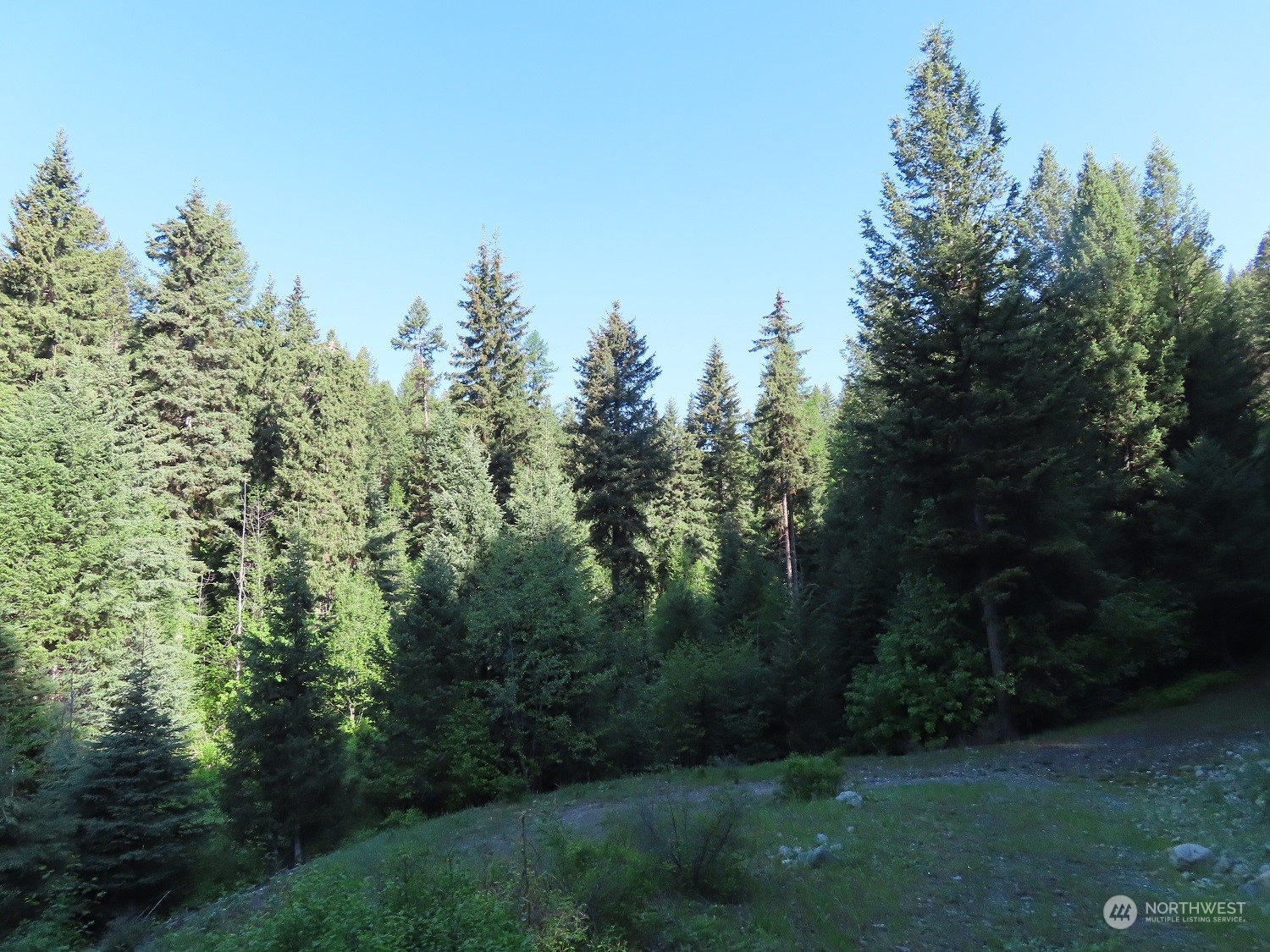 383 Pontiac Ridge Road Oroville, WA 98844 - Photo 29 of 32 a view of a yard