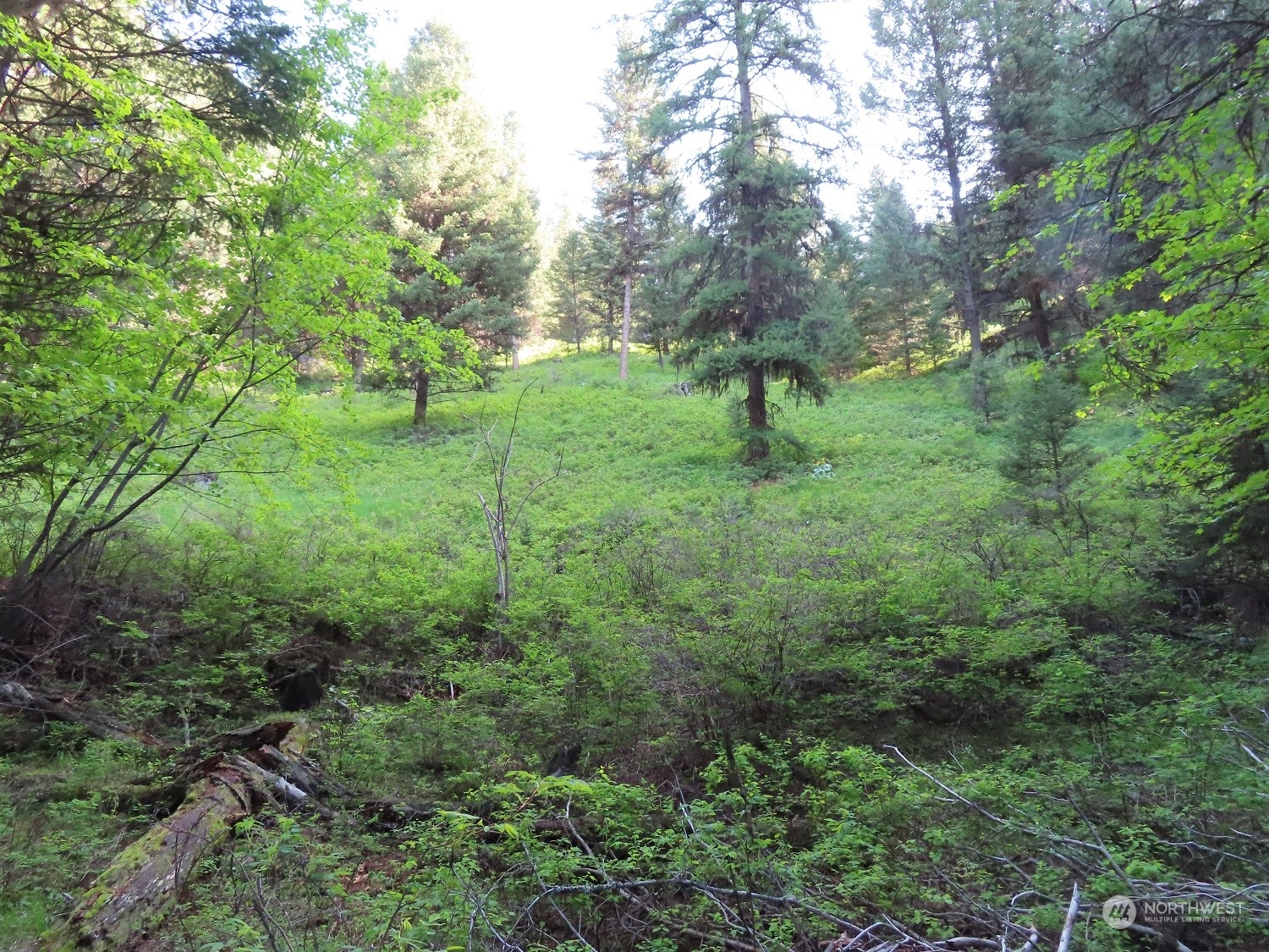 383 Pontiac Ridge Road Oroville, WA 98844 - Photo 30 of 32 a view of a green field with lots of bushes