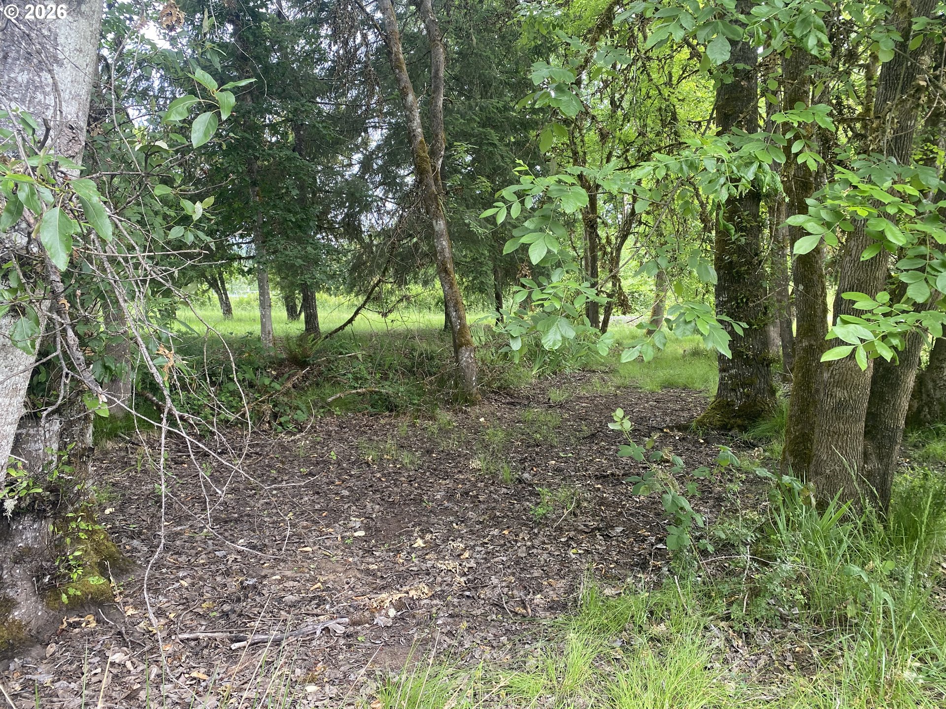 38102 Queens Road Marcola, OR 97454 - Photo 42 of 48