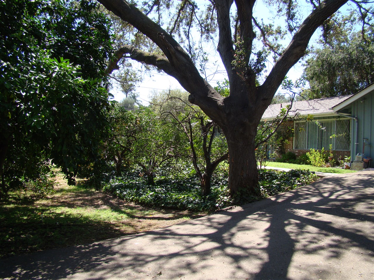 748 Hamilton Lane Fallbrook, CA 92028 - Photo 1 of 9 Gallery Image 1