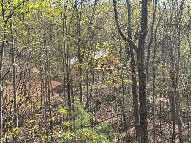 a view of a house with a yard and garage