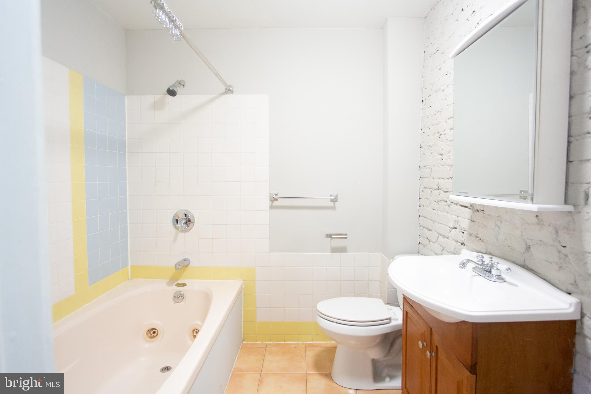 715 South 3rd Street, Unit 204 Philadelphia, PA 19147 - Photo 12 of 28 a bathroom with a sink a toilet and shower