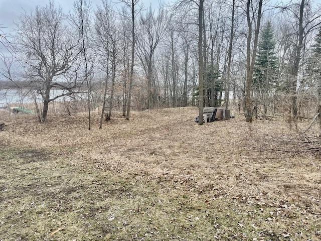 35810 Govern Road Richville, MN 56576 - Photo 34 of 41