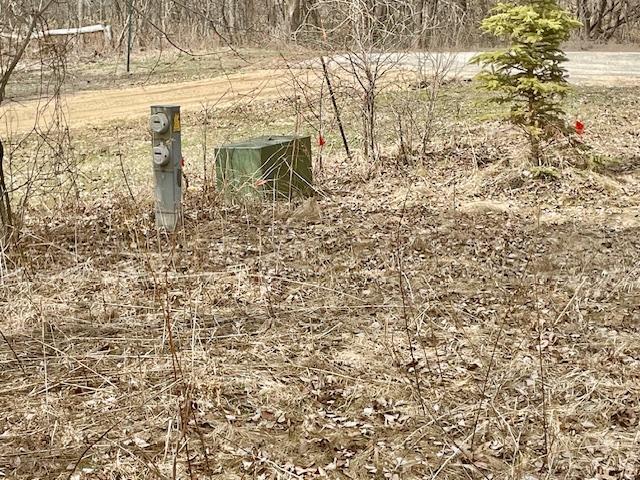 35810 Govern Road Richville, MN 56576 - Photo 6 of 41