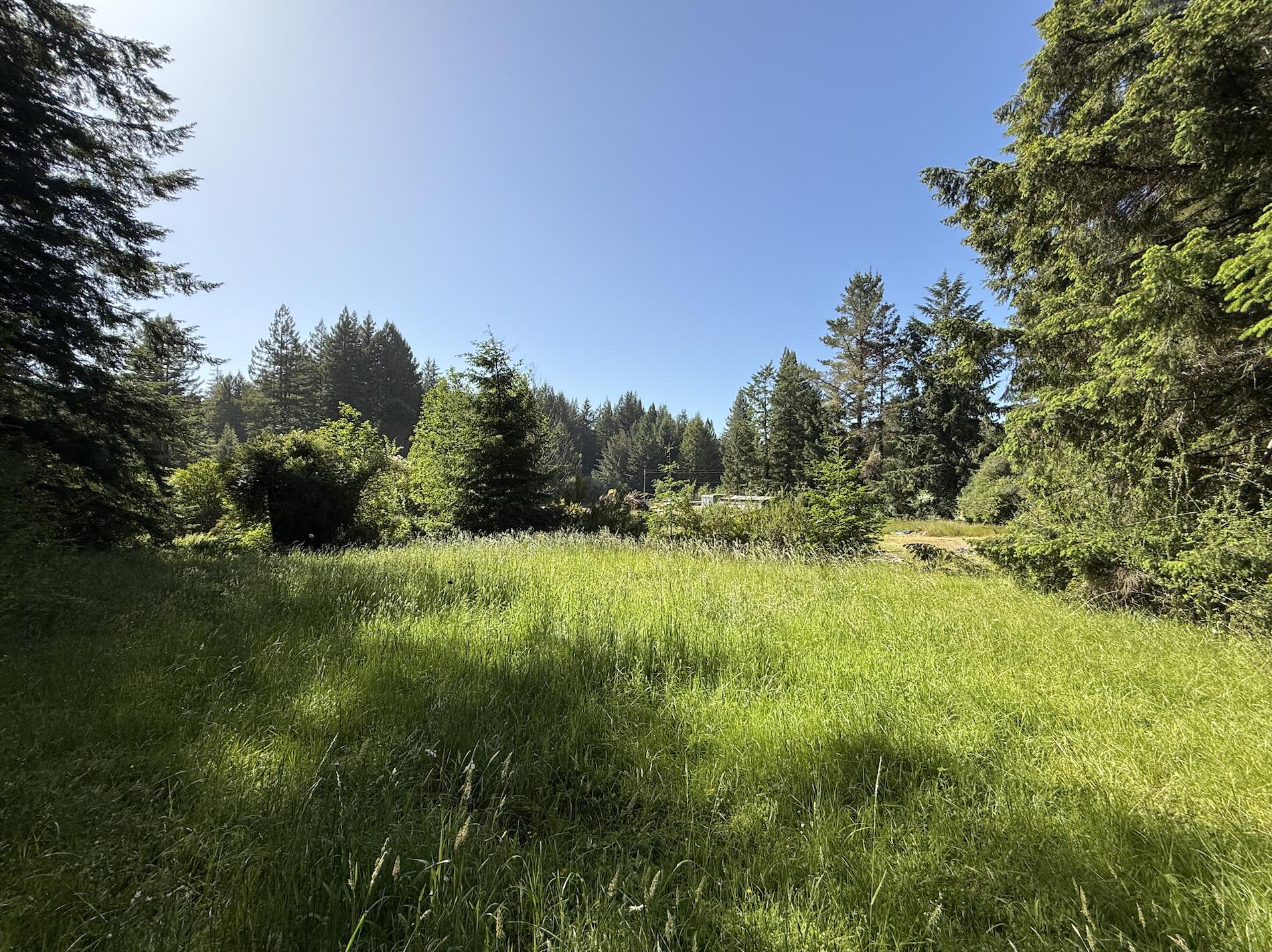 110 Pinnacle Lane Fieldbrook, CA 95519 - Photo 1 of 18