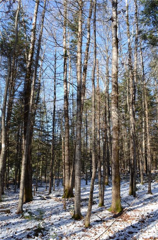 13 Perry Road Parkman, ME 04443 - Photo 9 of 18 Maine land for sale