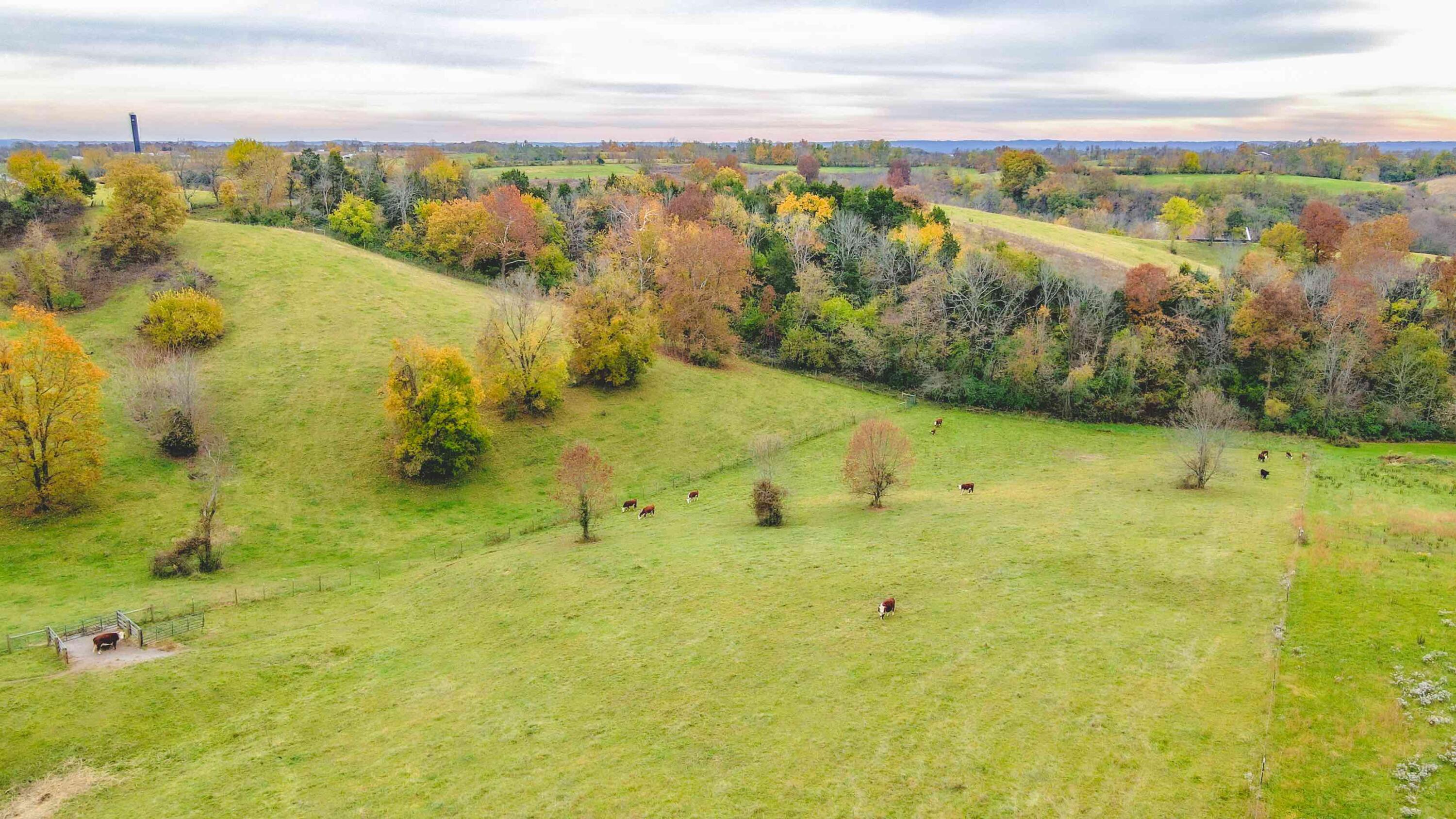 2363 Fall Lick Road Lancaster, KY 40444 - Photo 39 of 79 DJI_0057