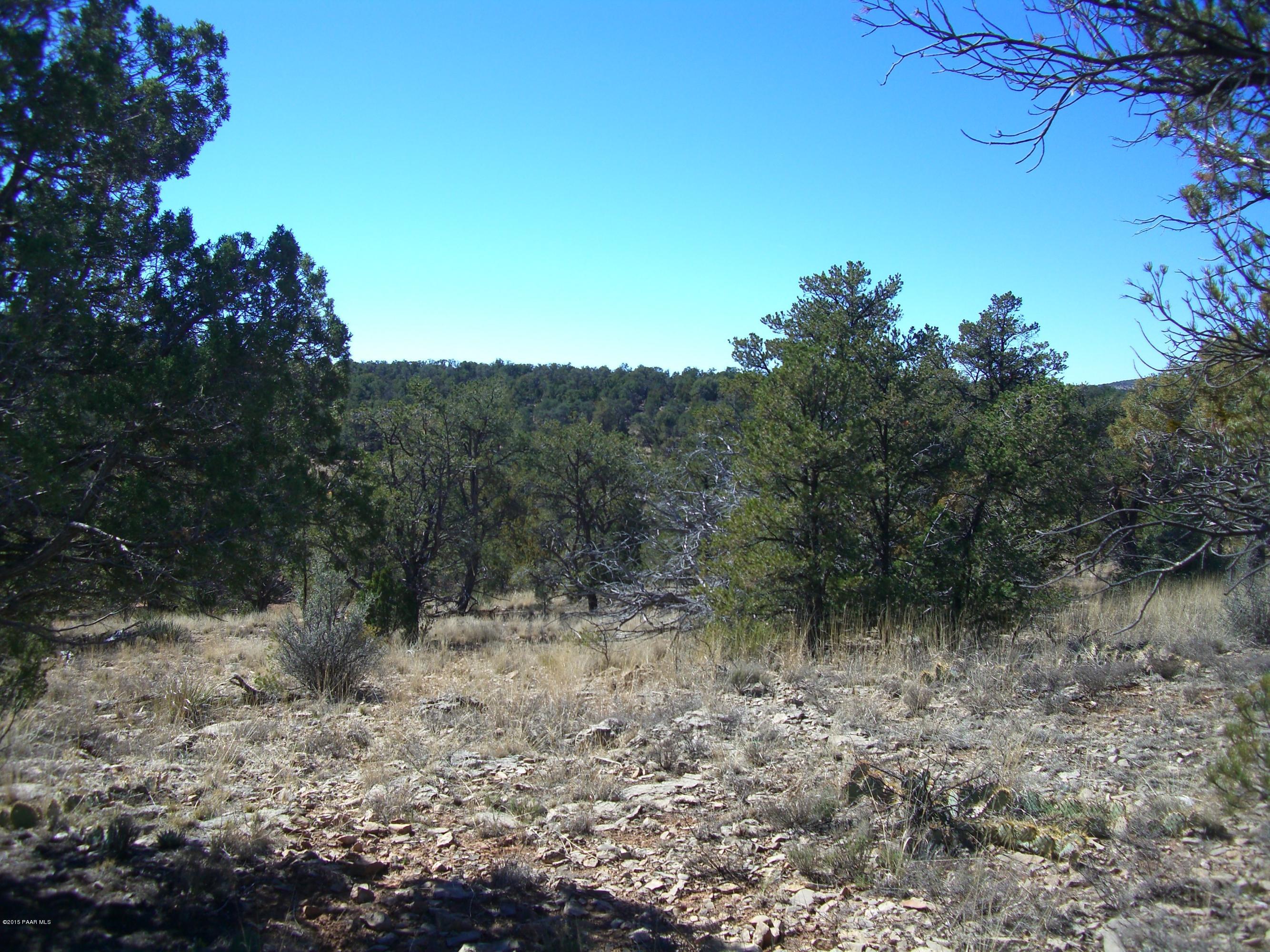 336 Heartbreak Ridge Ash Fork, AZ 86320 - Photo 8 of 9 CIMG1855