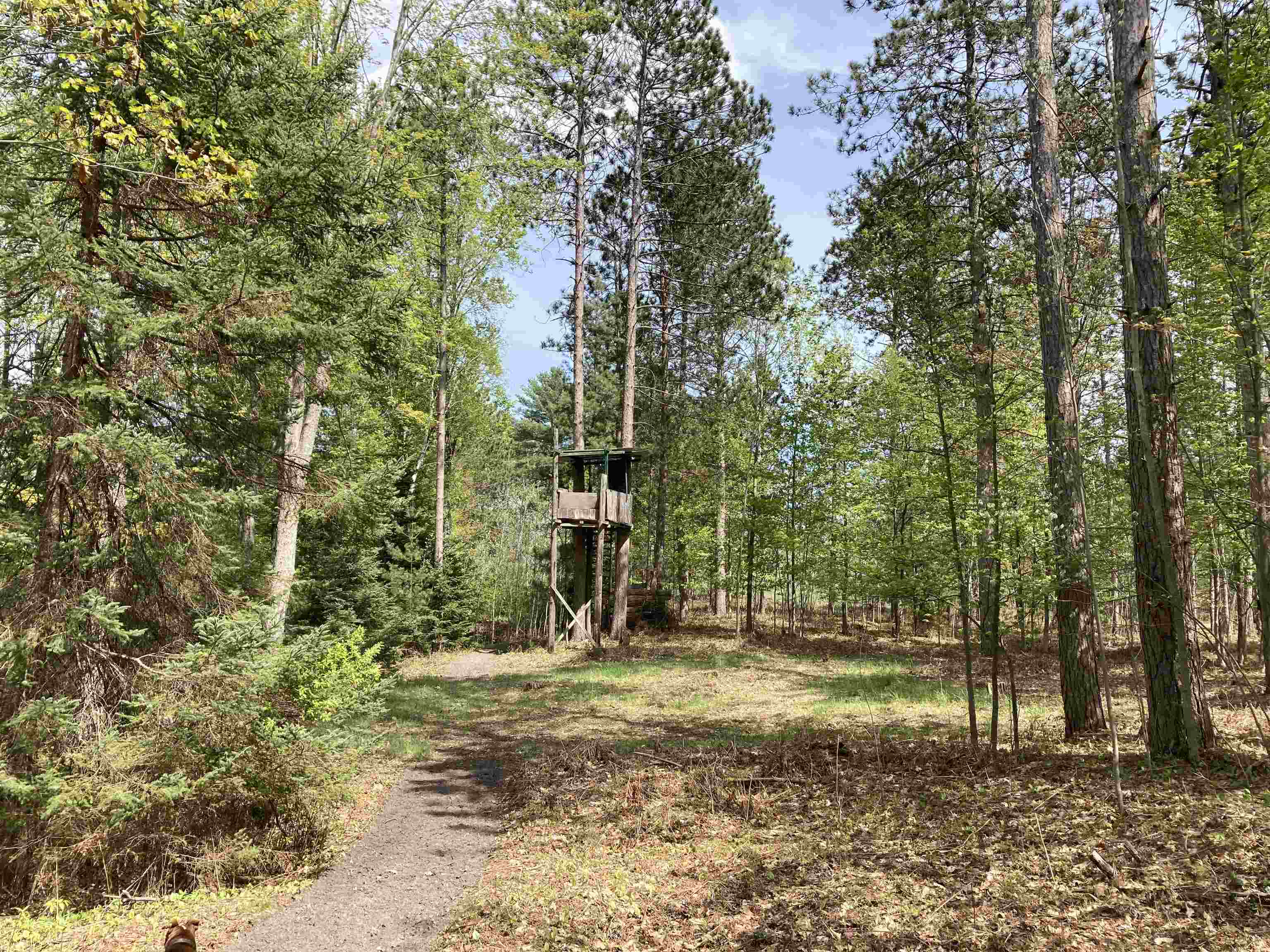 763 Sensabaugh Road Lupton, MI 48635 - Photo 27 of 86 1900015-26.JPG