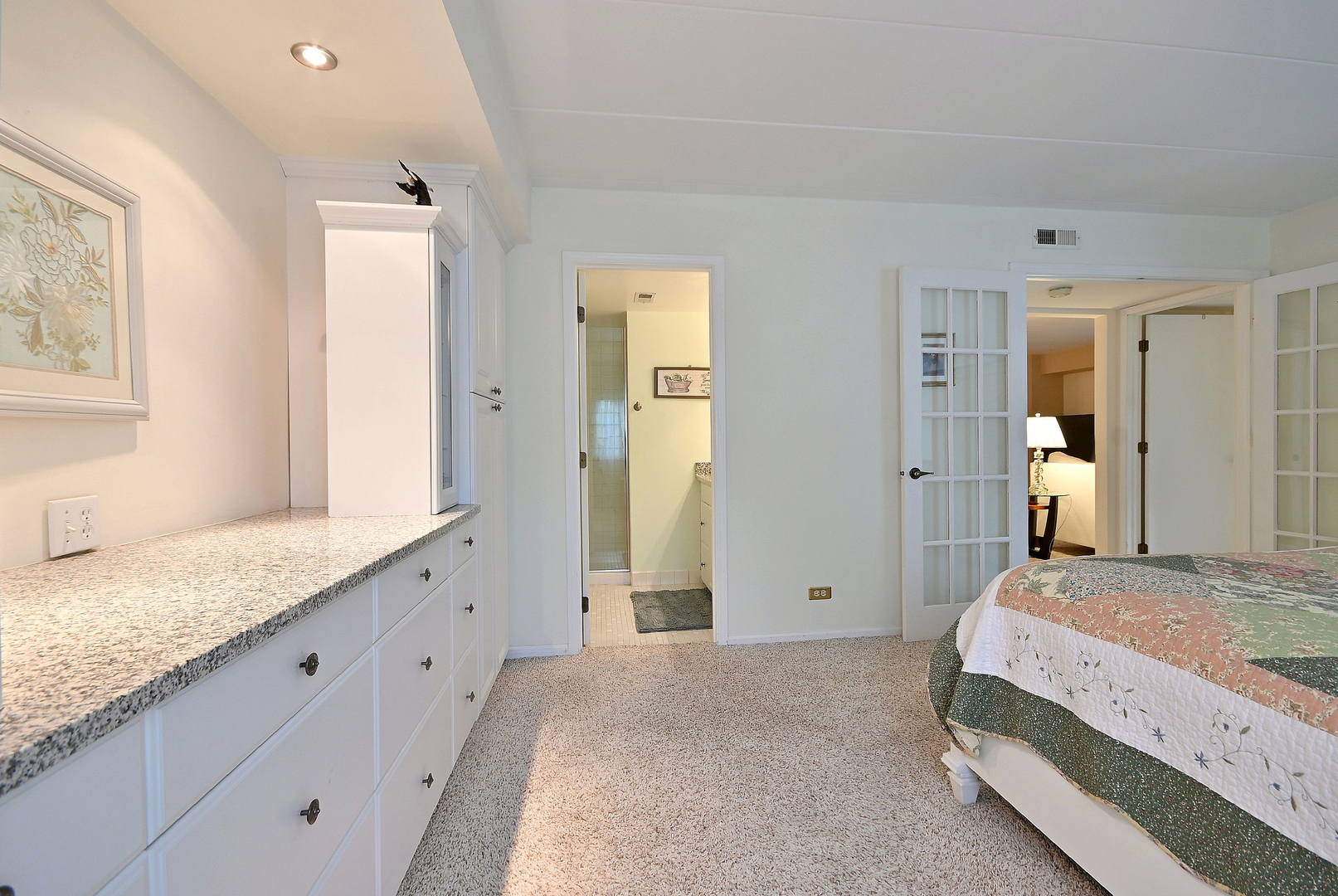 462 South President Street, Unit 101 Carol Stream, IL 60188 - Photo 21 of 40