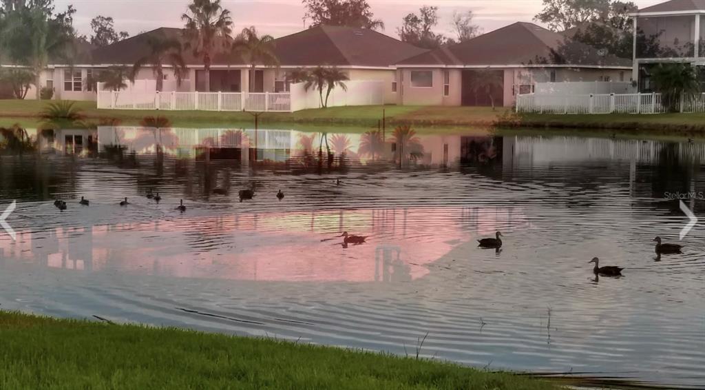 5966 Willows Bridge Loop Ellenton, FL 34222 - Photo 48 of 57 a view of a lake