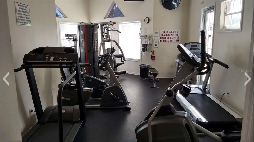 5966 Willows Bridge Loop Ellenton, FL 34222 - Photo 57 of 57 a view of a room with gym equipment