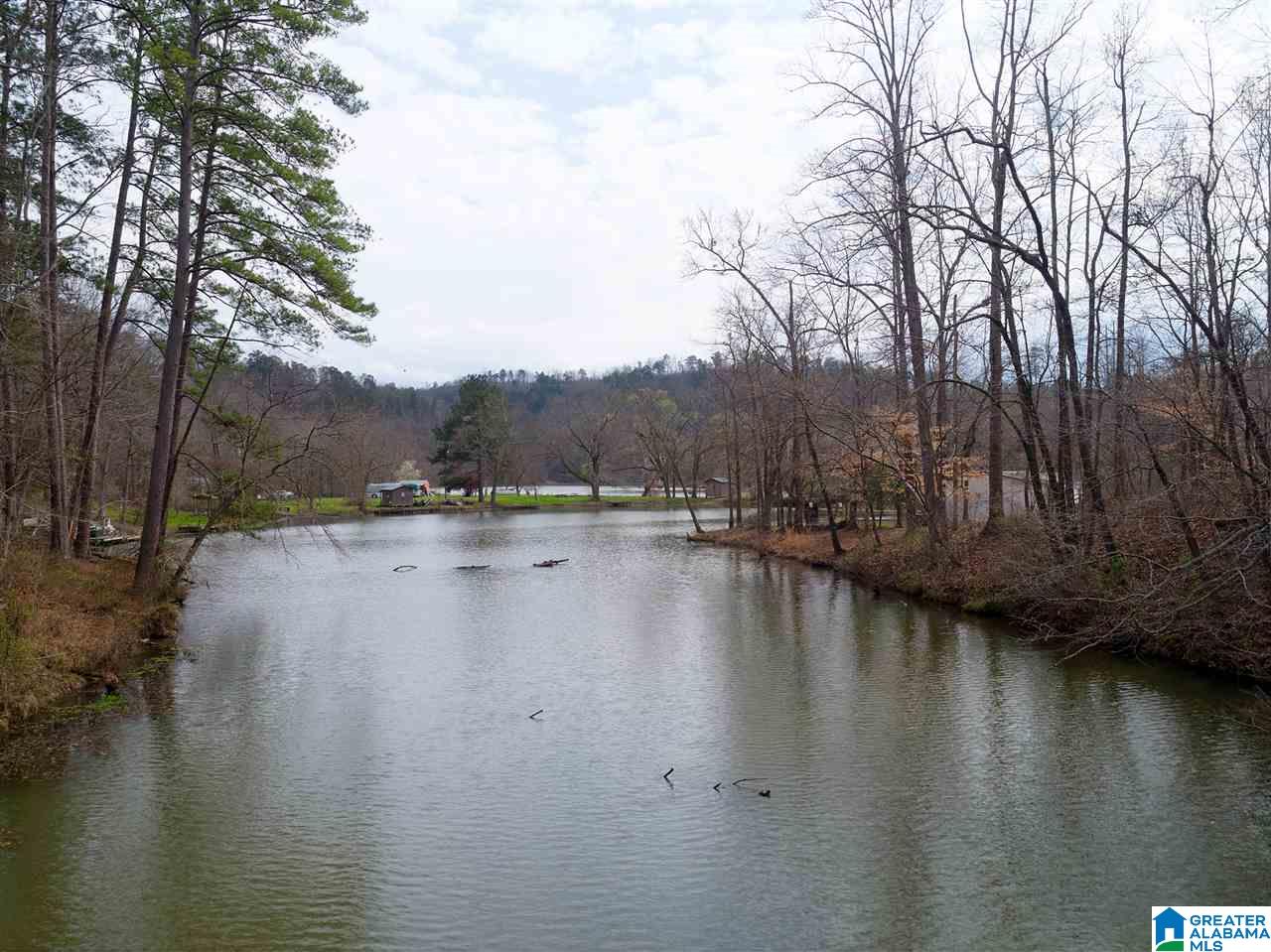 811 Rainwood Lodge Road Quinton, AL 35130 - Photo 6 of 29