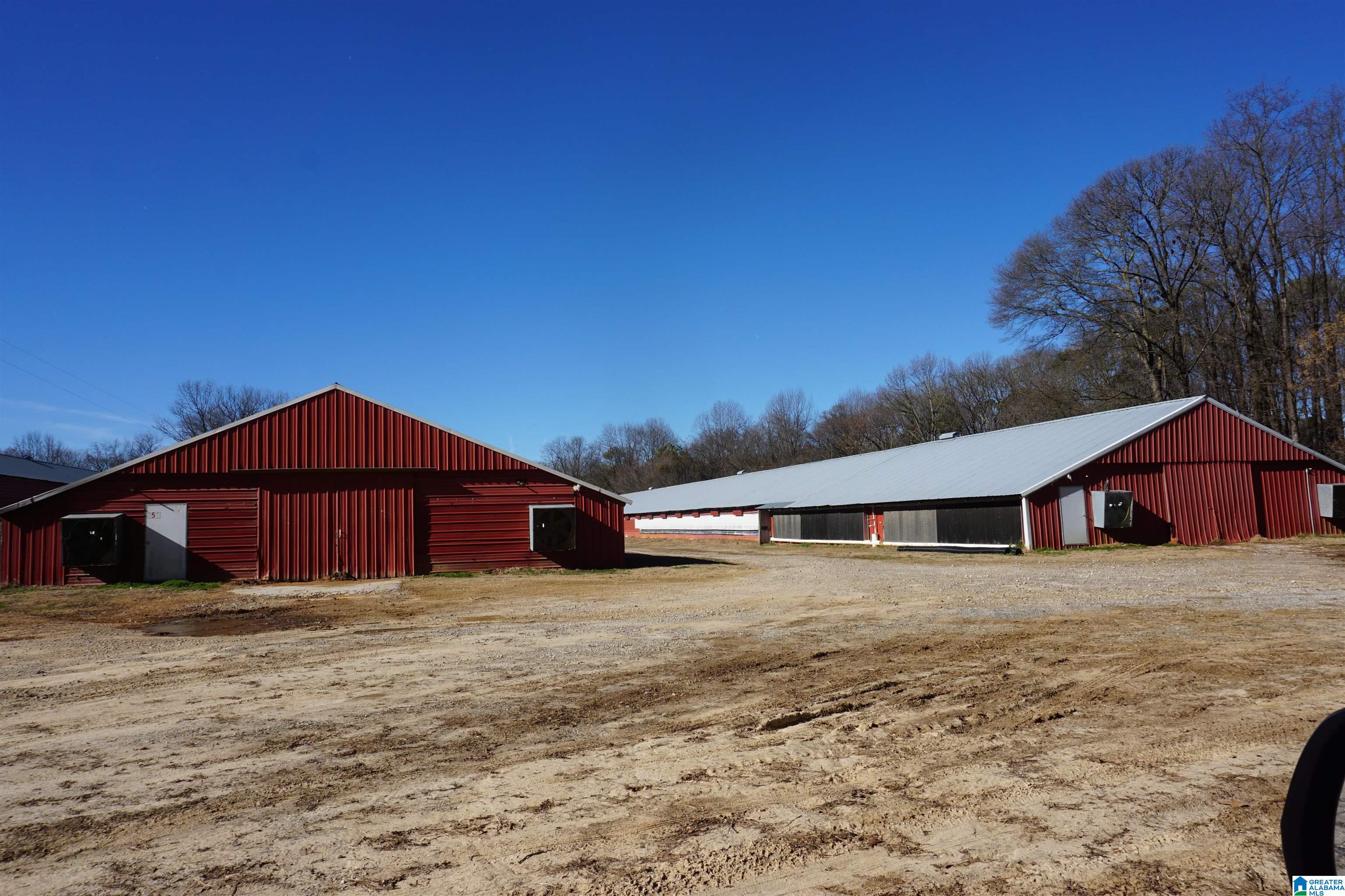 10171 County Road 87 Roanoke, AL 36274 - Photo 31 of 42