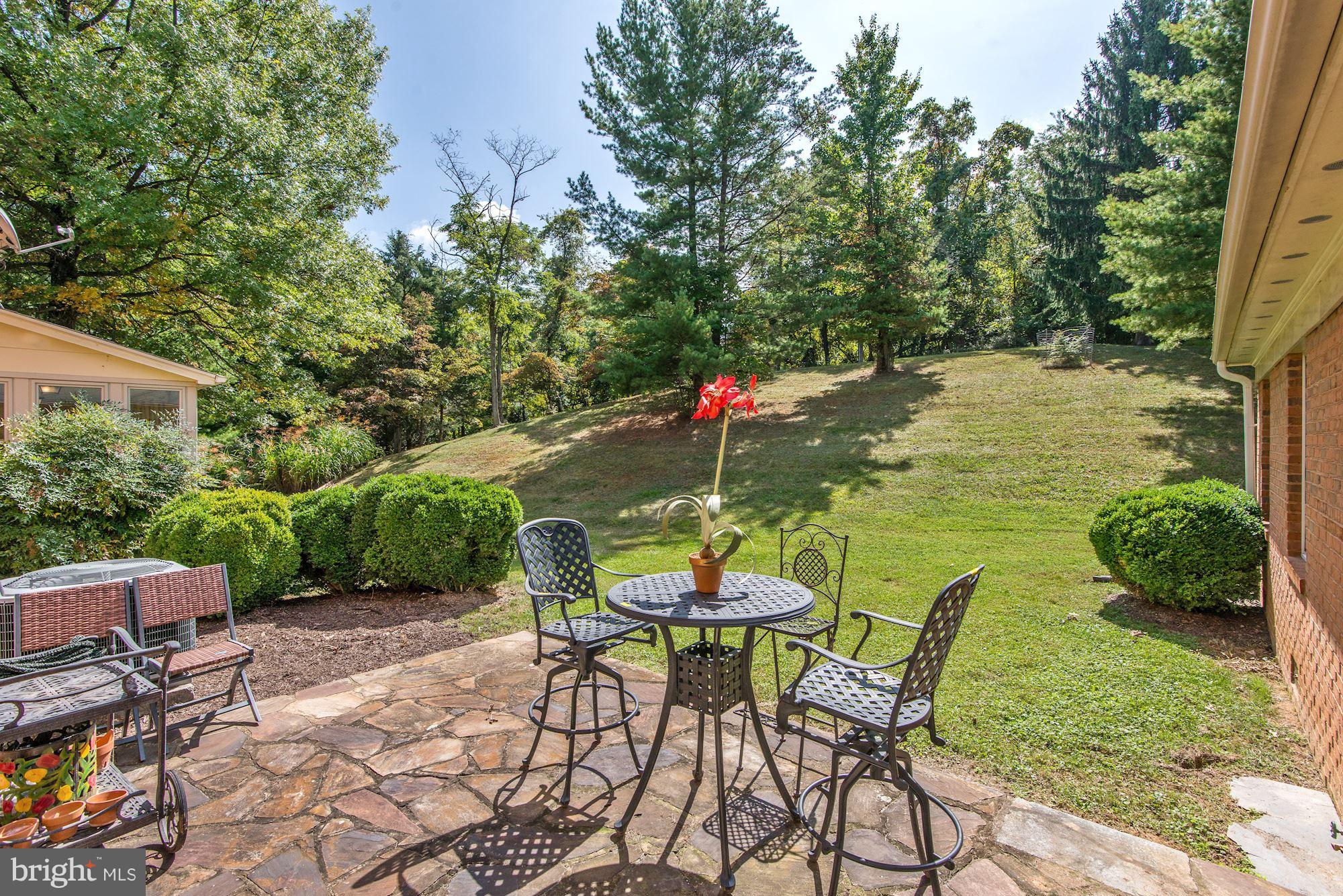 335 Locust Dale Road Front Royal, VA 22630 - Photo 19 of 26 Patio