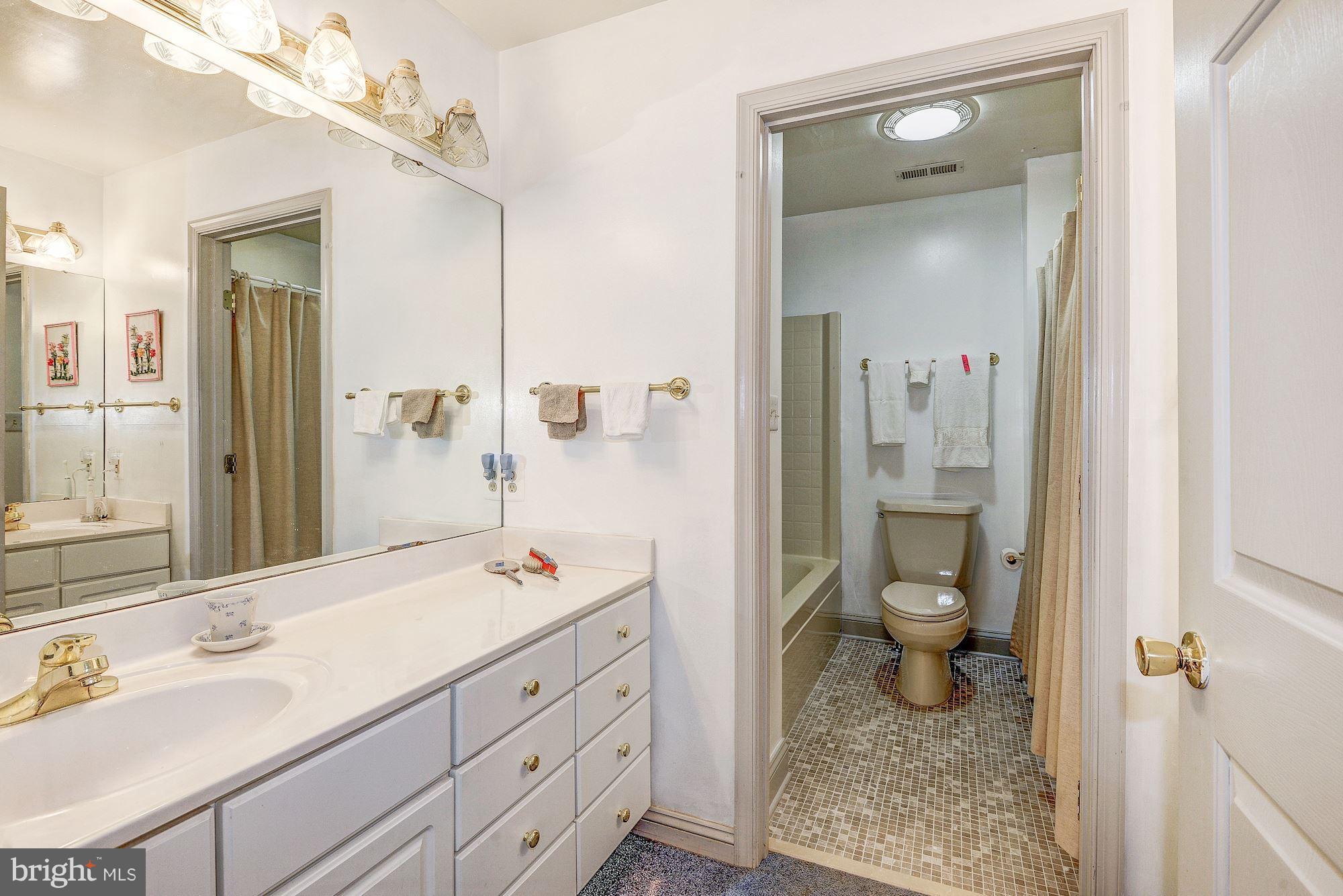 335 Locust Dale Road Front Royal, VA 22630 - Photo 6 of 26 Bath (Master)