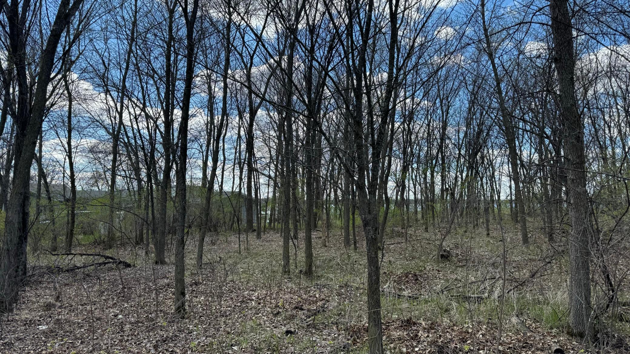 Lot 16 Sunset Strip Northwest Alexandria, MN 56308 - Photo 33 of 45