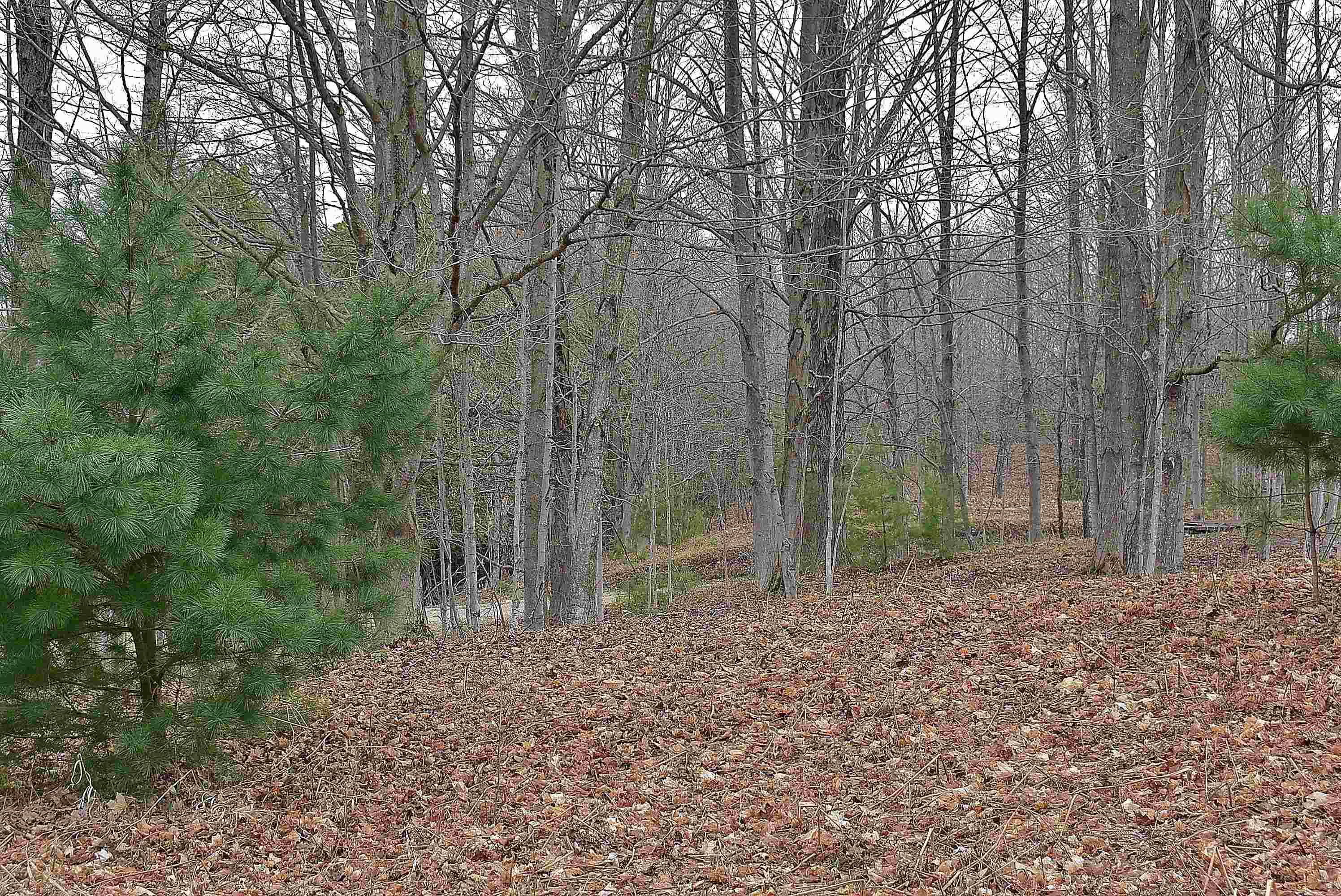 9398 West 4 Road Mesick, MI 49668 - Photo 4 of 13 1910314-3.JPG