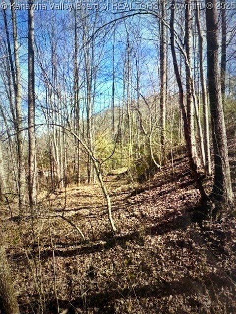 0 Utah Hollow Road Charleston, WV 25312 - Photo 14 of 39 Gallery Image 14