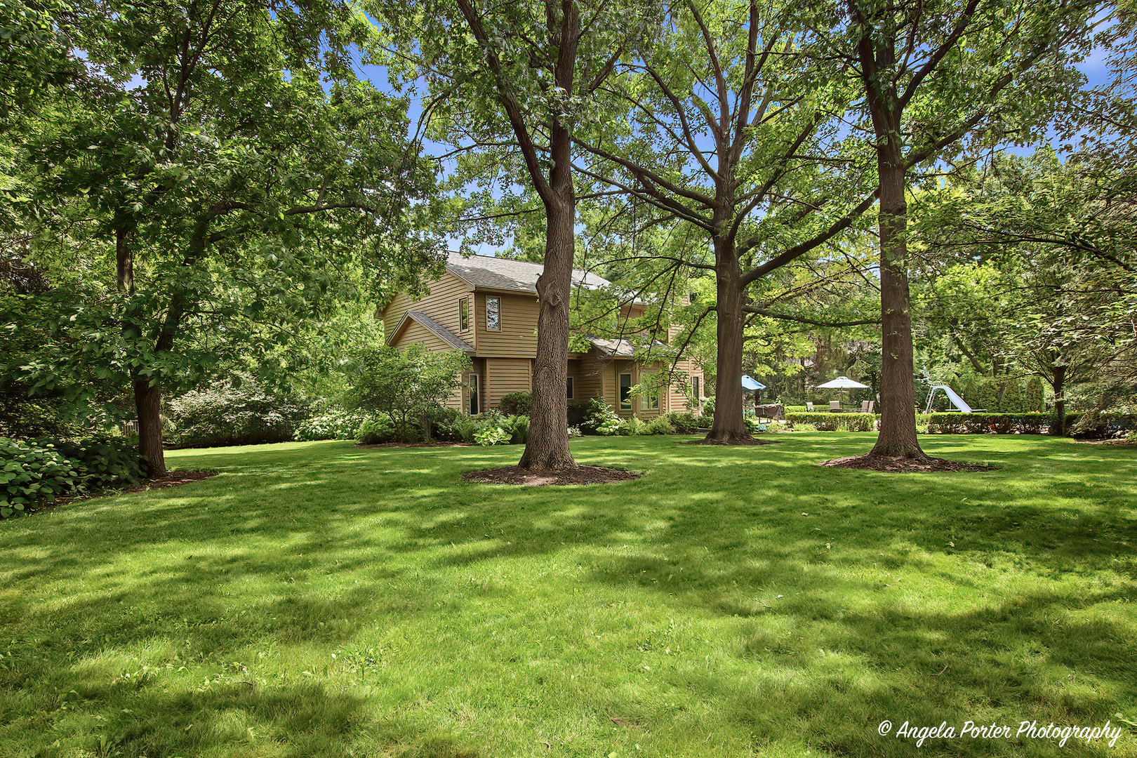 8919 Tahoe Lane Spring Grove, IL 60081 - Photo 12 of 52