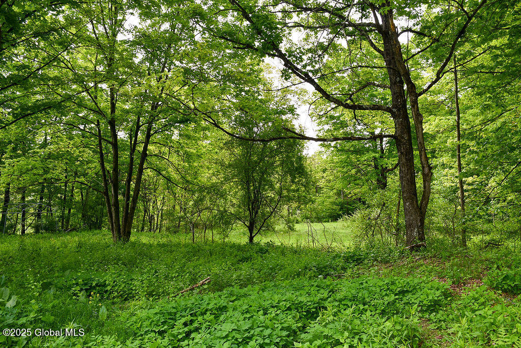 185 Stanton Road Coeymans, NY 12046 - Photo 25 of 27 DSC_0434