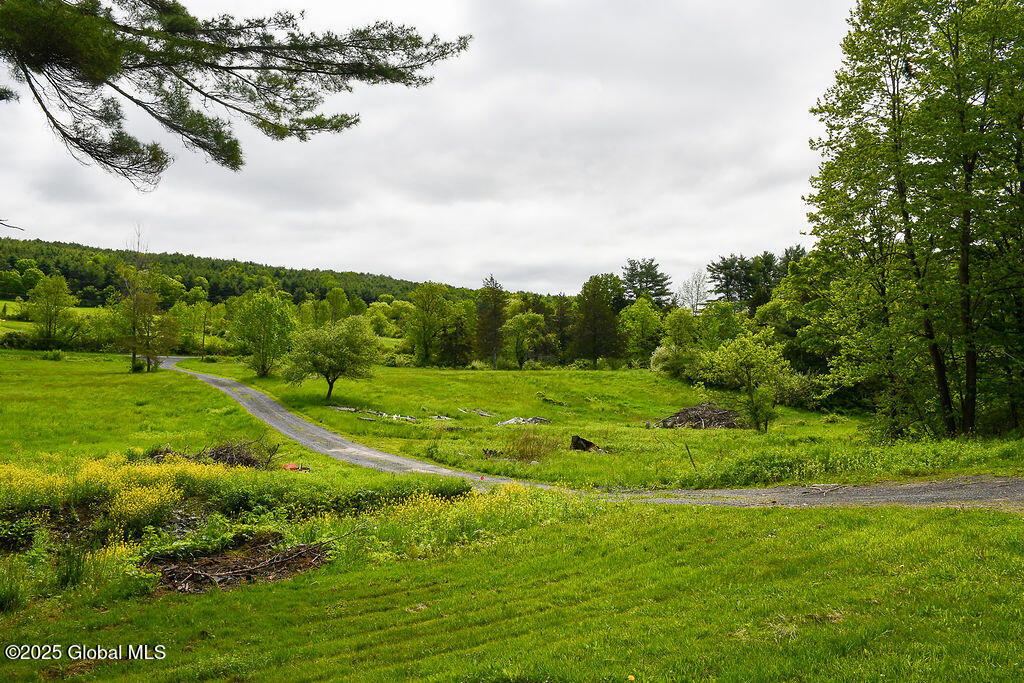 185 Stanton Road Coeymans, NY 12046 - Photo 3 of 27 DSC_0427