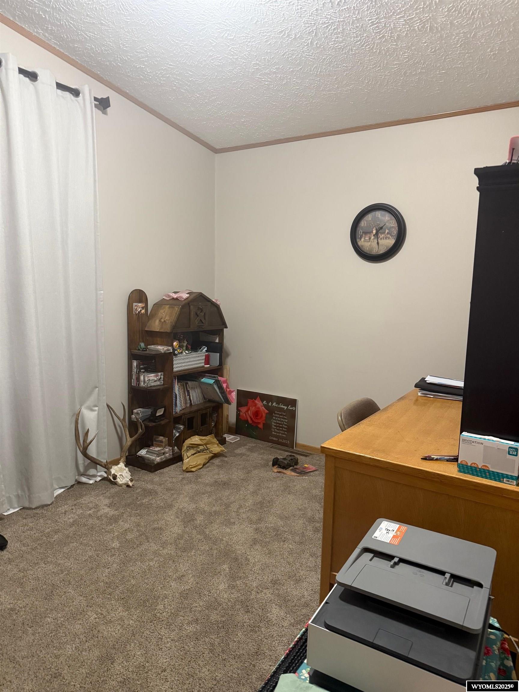 821 Ash Street Rawlins, WY 82301 - Photo 15 of 18