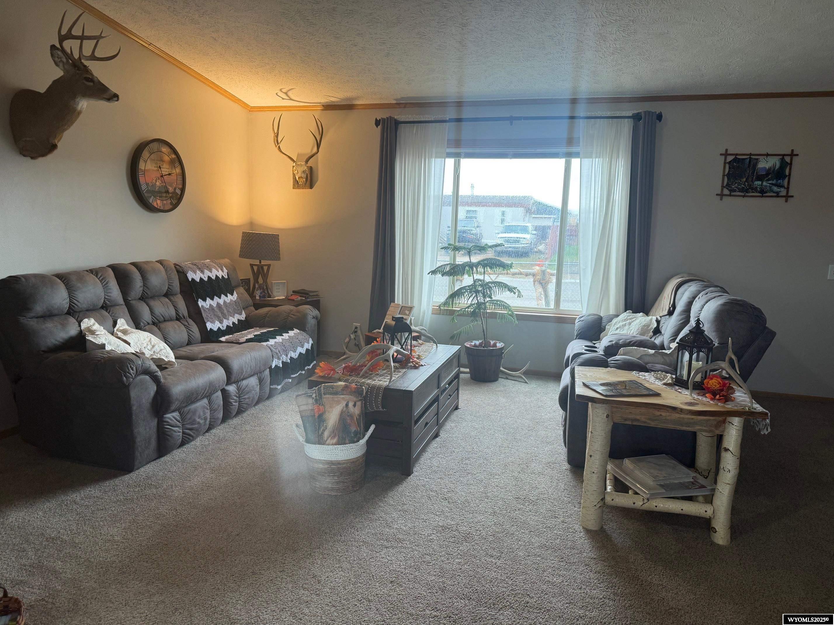 821 Ash Street Rawlins, WY 82301 - Photo 5 of 18