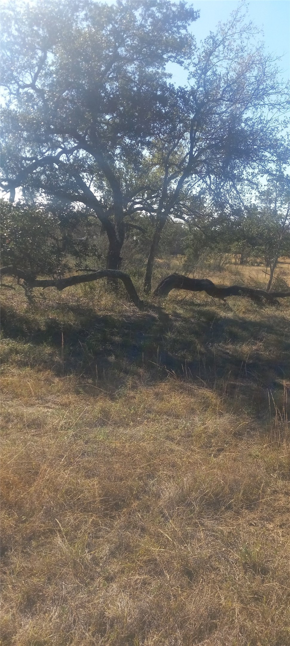 Tbd Winnie Smith Road Round Mountain, TX 78663 - Photo 22 of 30 a view of a yard in a yard