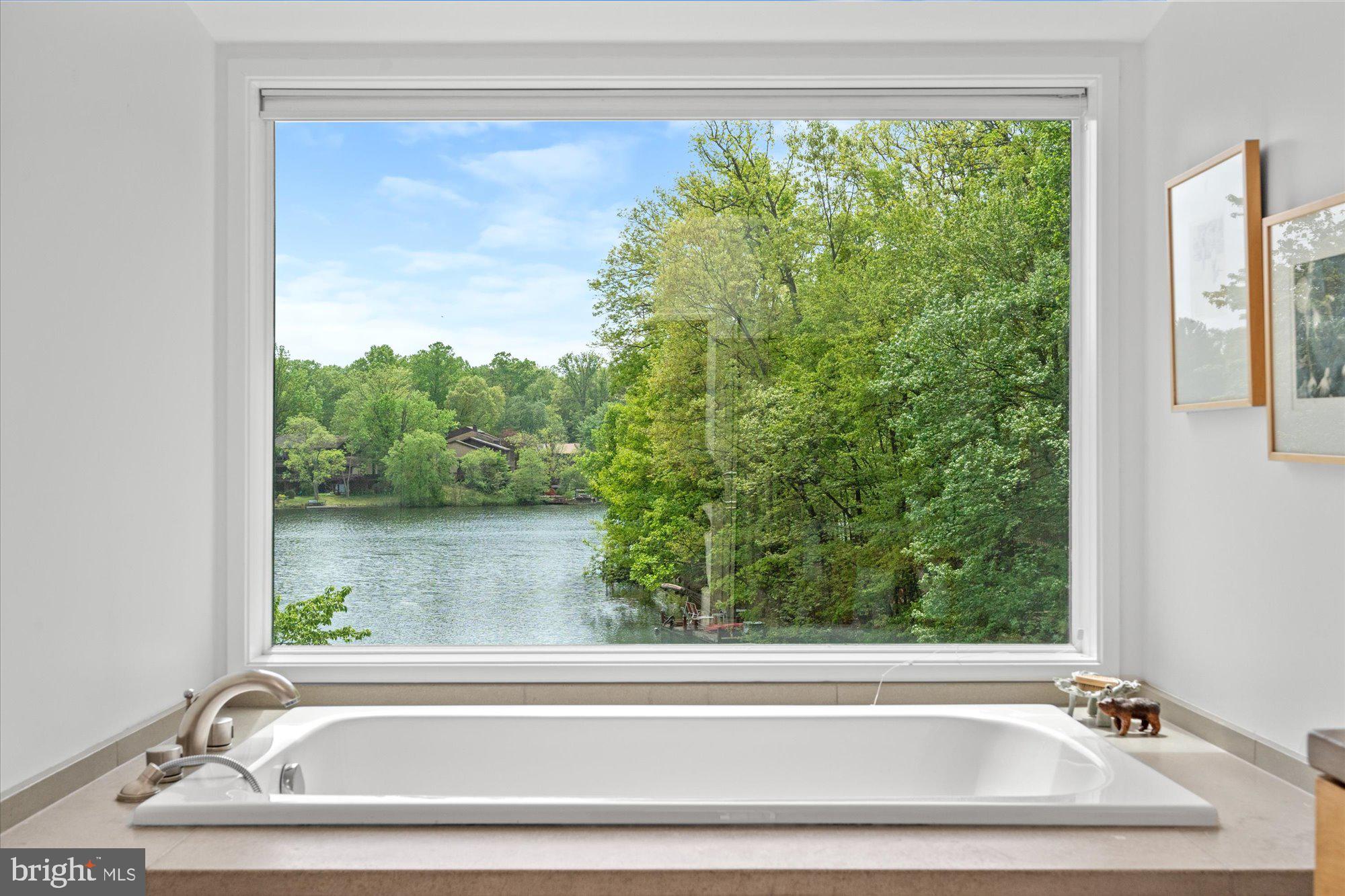 2002 Cutwater Court Reston, VA 20191 - Photo 55 of 91 Views of the lake
