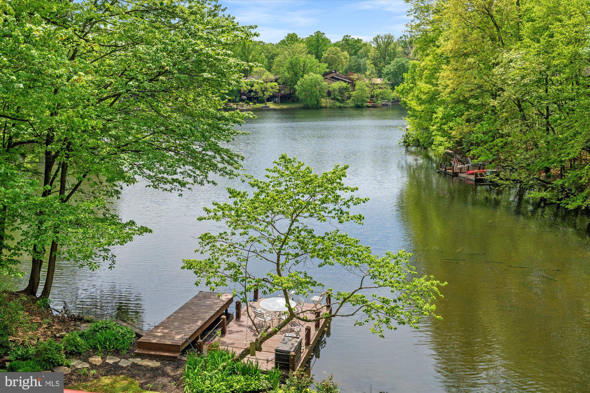 2002 Cutwater Court Reston, VA 20191 - Photo 83 of 91 1 permanent dock and floating dock