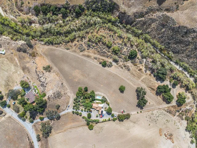 a view of a plant in a yard